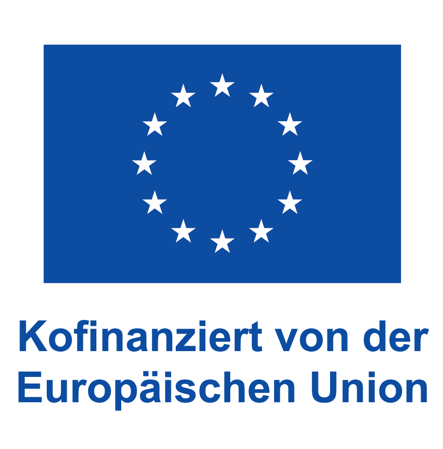 Europäischer Sozialfonds PLUS